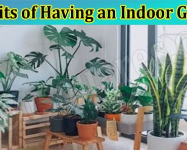 Benefits of Having an Indoor Garden