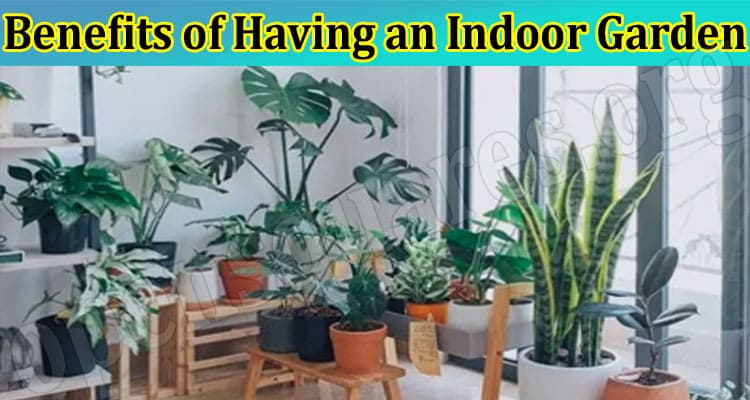 Complete Information Benefits of Having an Indoor Garden