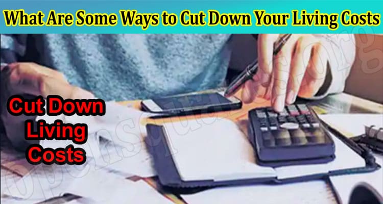 What Are Some Ways to Cut Down Your Living Costs