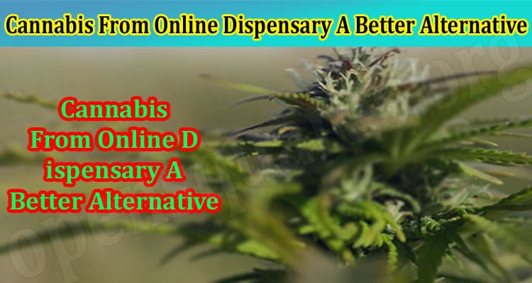 Why Is Buying Cannabis From Online Dispensary A Better Alternative