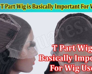 How The T Part Wig is Basically Important For Wig Users