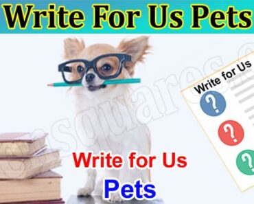 Write For Us Pets – Explore And Follow Instruction!