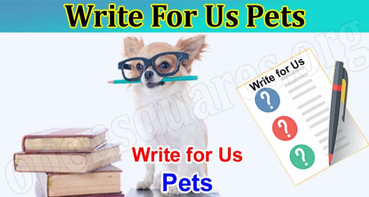 Write For Us Pets – Explore And Follow Instruction!