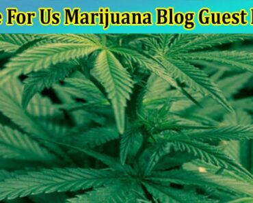 Write For Us Marijuana Blog Guest Post – Read Guideline!