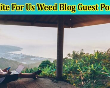 Write For Us Weed Blog Guest Post – Contact Us Details!