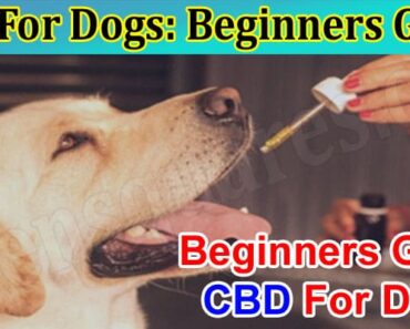 CBD For Dogs: Beginners Guide