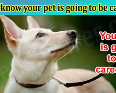 How to know your pet is going to be cared for