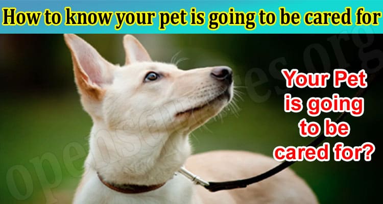 How to know your pet is going to be cared for
