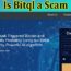Is Bitql a Scam {Sep} Read Here, Is This Legit Or Not?
