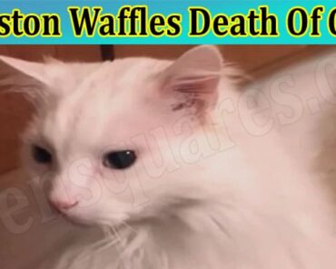 Thurston Waffles Death Of Cause – Who Is He: Is He Dead or Alive? What Happened To Him?