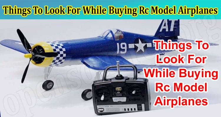 Things To Look For While Buying Rc Model Airplanes