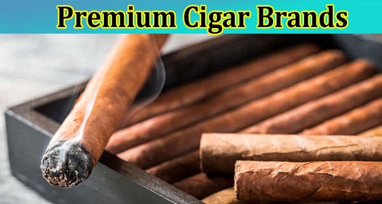 5 Best Premium Cigar Brands You Should Try
