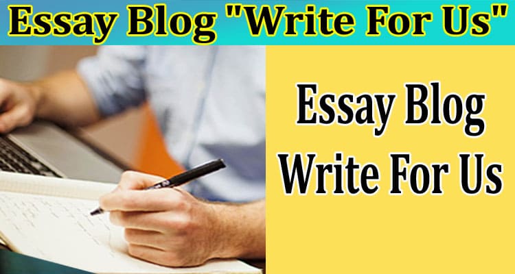 Write For Us + Essay Blog – Know Complete Guidelines!