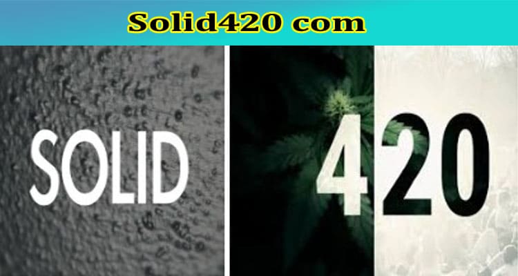 Latest News Solid420 Com