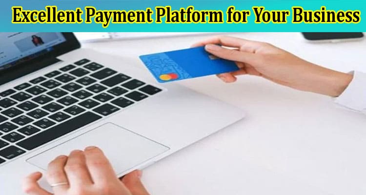 Perks of Using an Excellent Payment Platform for Your Business