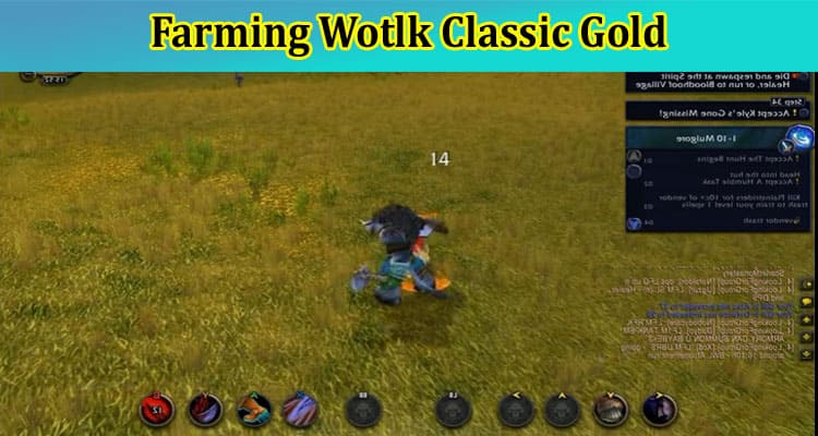 What Are the Best Healers for Farming Wotlk Classic Gold?