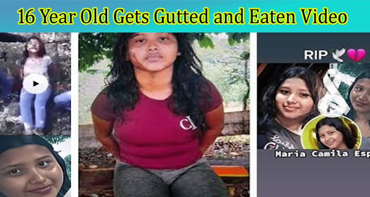 latest news 16 Year Old Gets Gutted and Eaten Video