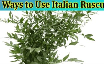 Top 3 Ways to Use Italian Ruscus