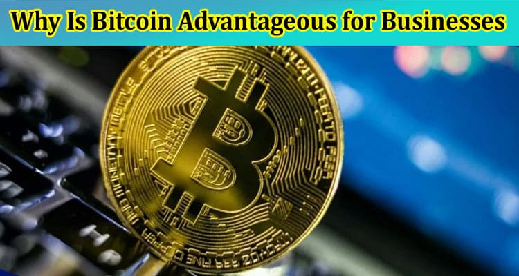 Why Is Bitcoin Advantageous for Businesses?
