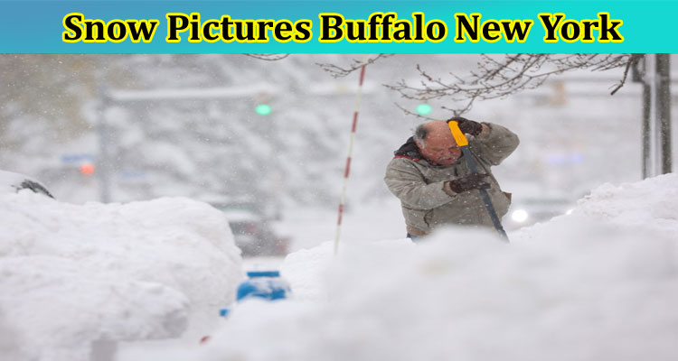Snow Pictures Buffalo New York: Check Trending Storm Pictures & Video Circulating on Twitter & Reddit Handles! Find Football Game Update!