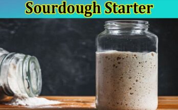 Complete Information About How to Make a Sourdough Starter from Scratch