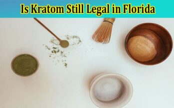 Complete Information About Is Kratom Still Legal in Florida Key Points to Know More About It