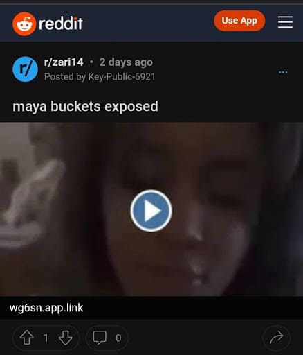 Is the video available on Reddit