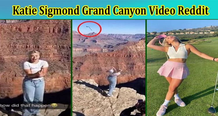 Latest News Katie Sigmond Grand Canyon Video Reddit