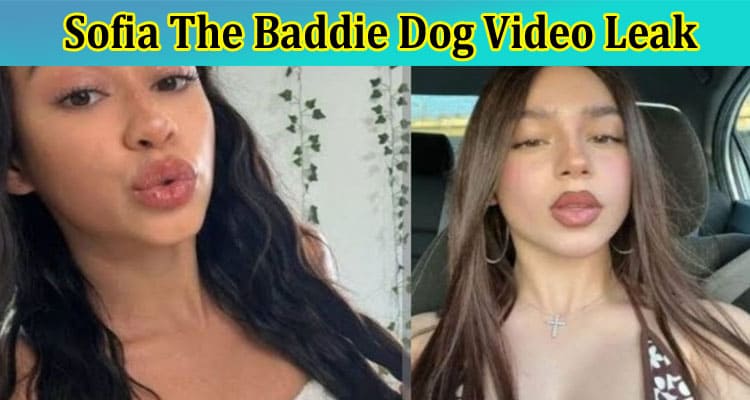 {updated} Sofia The Baddie Dog Video Leak: Who Is Sofia? Check If Original Viral Video Is Sill Available On Reddit, Twitter, Tiktok, Instagram, Or Youtube!