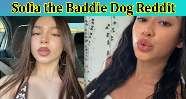 [Updated] Sofia The Baddie Dog Reddit: Check The Original Leaked Video Footage Details From Twitter!