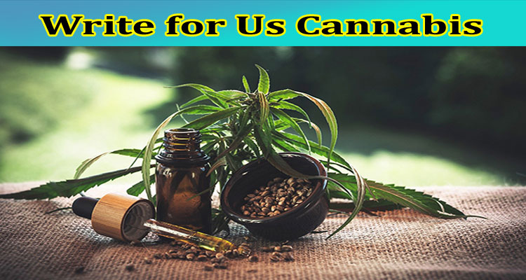 Write for Us Cannabis: Know Complete Guidelines First!