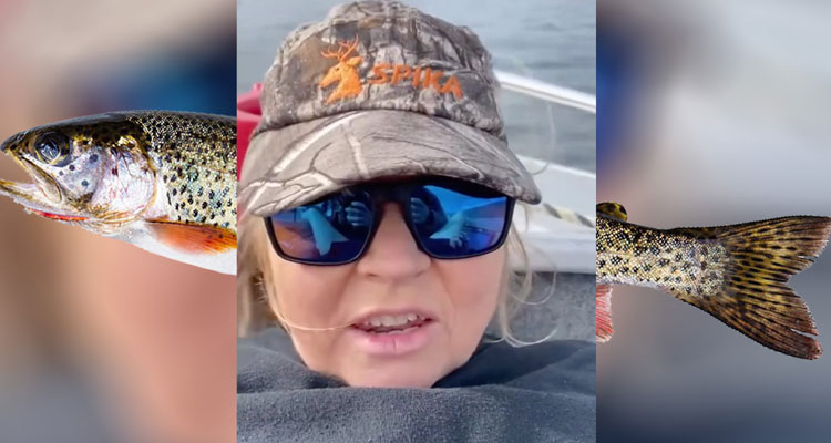 All about the Trout for clout viral video