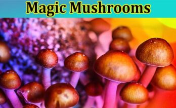 Complete Guide About Health Benefits of Magic Mushrooms