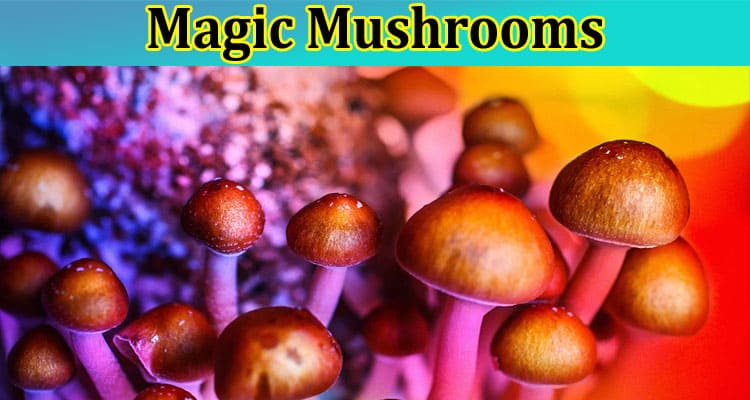 Health Benefits of Magic Mushrooms