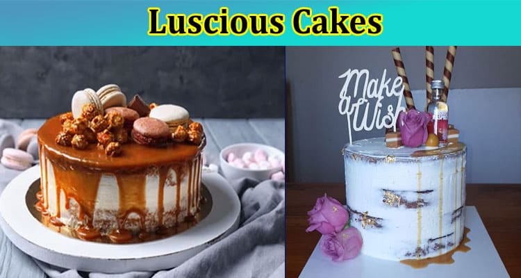 Complete Information About Luscious Cakes to Give Girlfriend During of Proposal