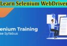 Top Blogs To Learn Selenium WebDriver