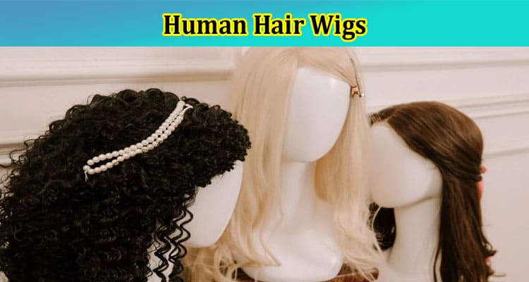 Beautyforever: Your Go-to Guide to Finding the Best Lace Front Wigs & Human Hair Wigs