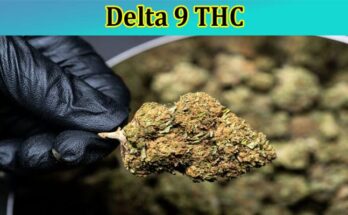 Complete Information About Delta 9 THC - Effects, Benefits, and Other Features