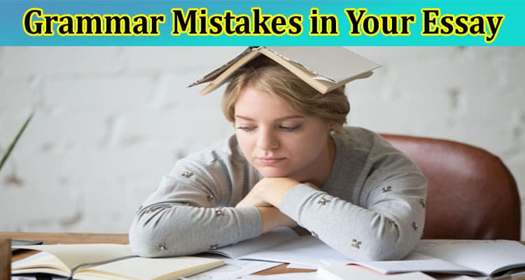 Complete Information About Top 8 Sources to Make Less Spelling and Grammar Mistakes in Your Essay