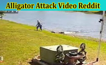 Latest News Alligator Attack Video Reddit