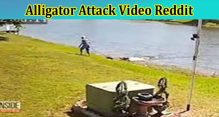 [Full Original Video] Alligator Attack Video Reddit: Has It Drags Woman into Water? Is It True? Reveal Truth Now!