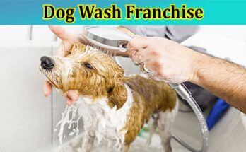 Complete Information About 7 Reasons to Start a Dog Wash Franchise