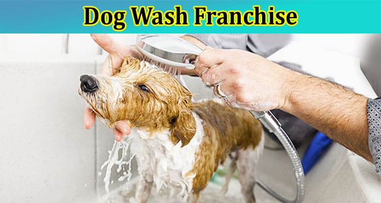 Complete Information About 7 Reasons to Start a Dog Wash Franchise