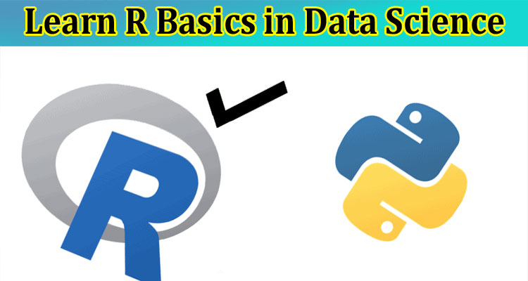 8 Reasons to Learn R Basics in Data Science