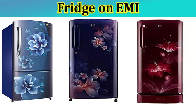 Complete Information About Fridge on EMI