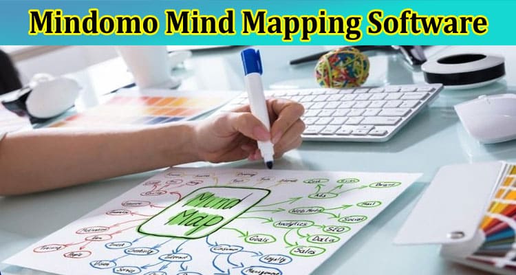 Complete Information About Studying With Mindomo Mind Mapping Software