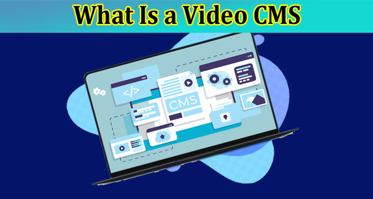 What Is a Video CMS, and Why Do You Need One?