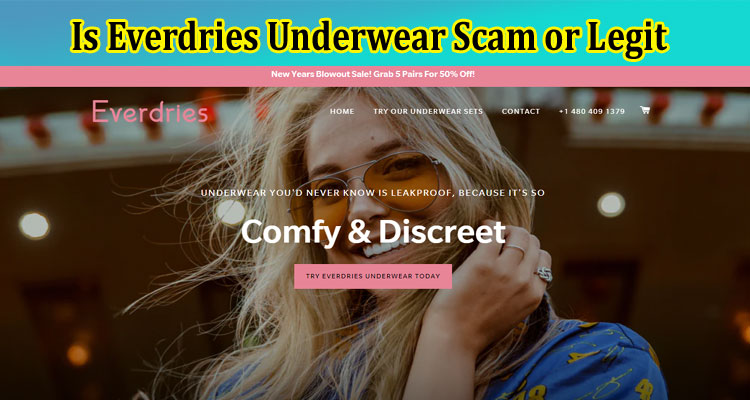 Is Everdries Underwear Scam or Legit {March 2023} Get Reviews!