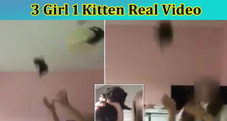 [Full Original Video] 3 Girl 1 Kitten Real Video: What They All Are Doing With One Cat? Check Now Here!