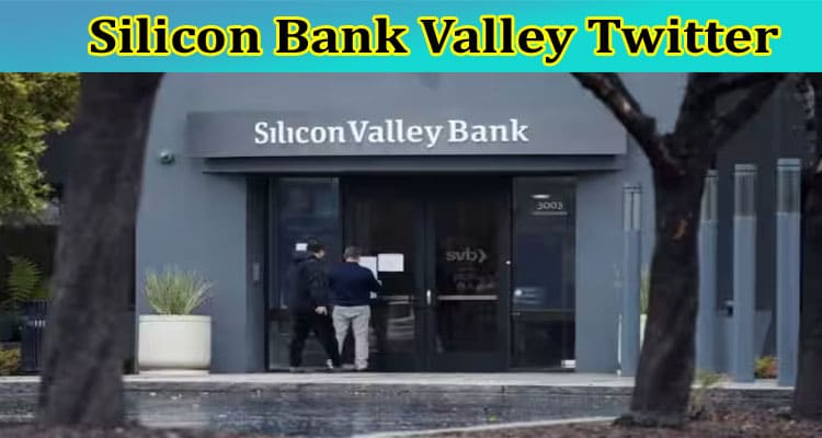 Silicon Bank Valley Twitter: Why Did Silicon Valley Bank Collapse? Explore The Details Of debate on SVB Share Price Collapse